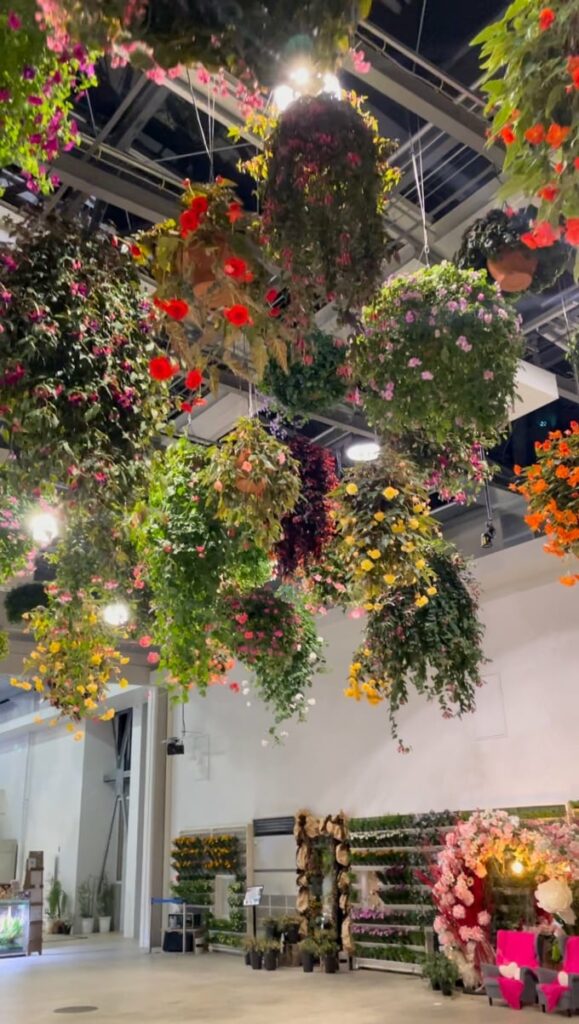 Flowers hanging from the ceiling in a shop at Hanabiyori Park