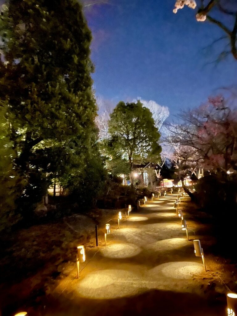 A pathway lit up at night at Hanabiyori Park.