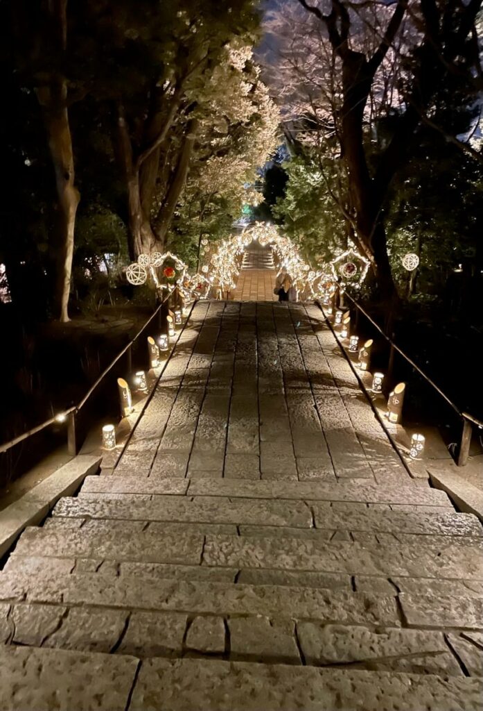 A bridge in Hanabiyori Park lit up at night.