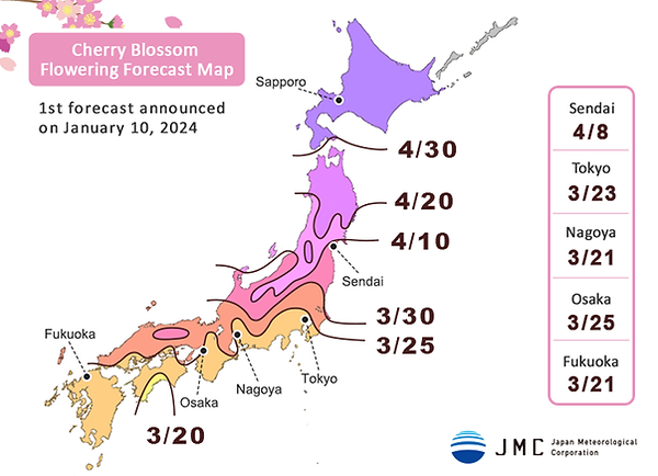 A map displaying dazzling Cherry Blossom spots and their blooming forecast in Tokyo, Japan.