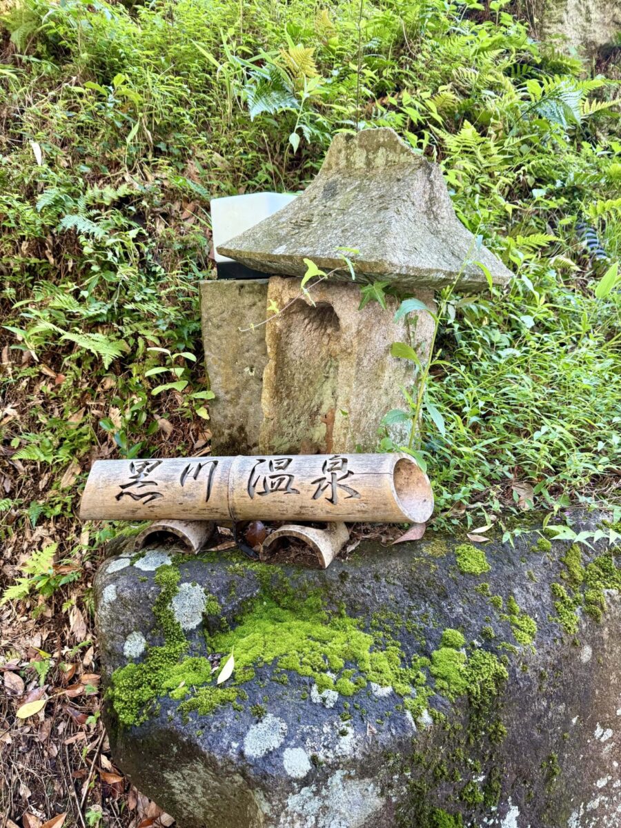 A moss-covered stone lantern and a bamboo sign with Japanese characters are set among rocks and green foliage.