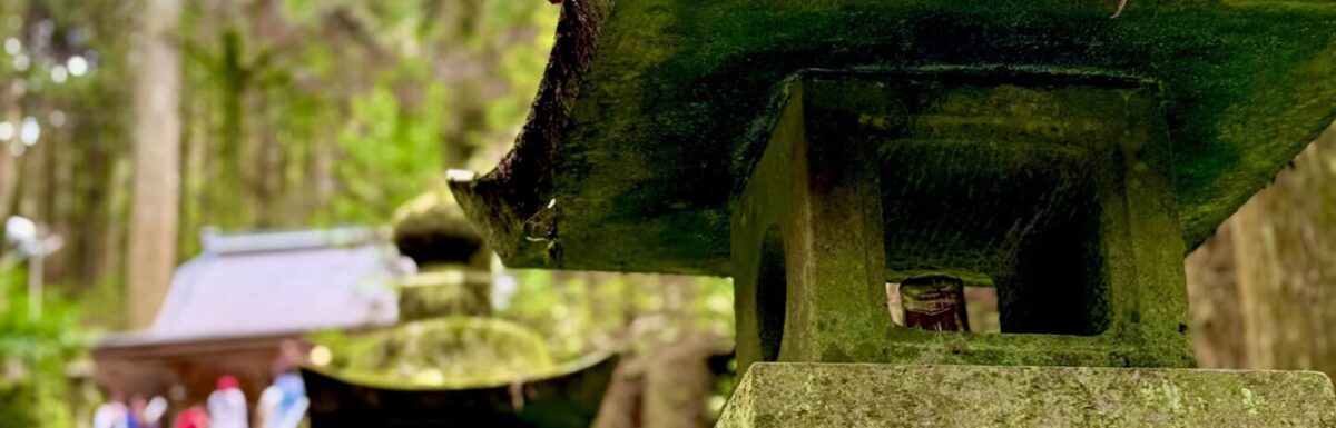 Kumamoto Guided Tours: From Firefly Forests to Volcanic Grass Plains