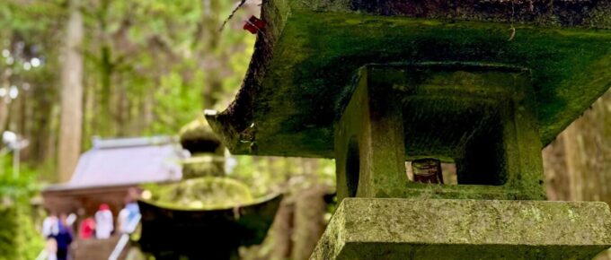 A moss-covered stone lantern stands in front of a stairway leading to a shrine, surrounded by tall trees and greenery.
