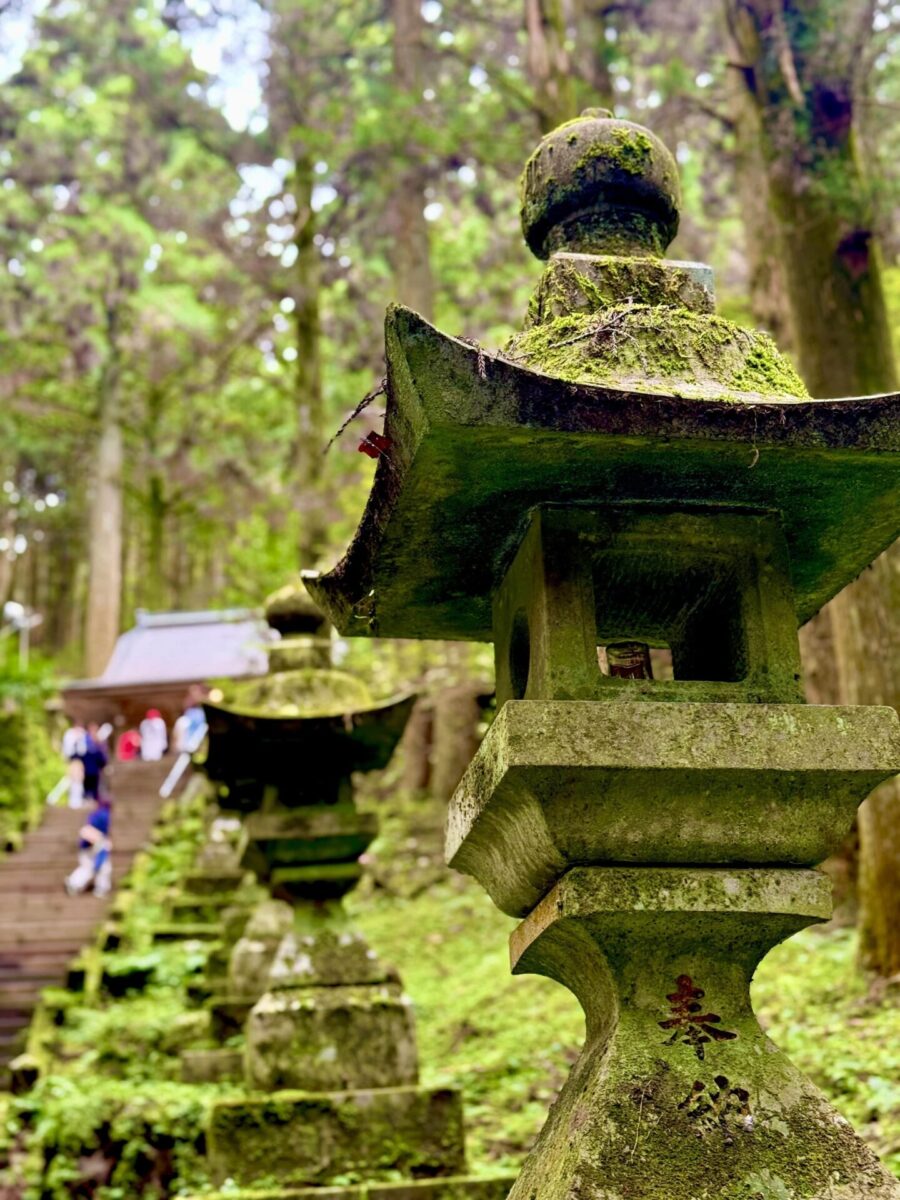 A moss-covered stone lantern stands in front of a stairway leading to a shrine, surrounded by tall trees and greenery.