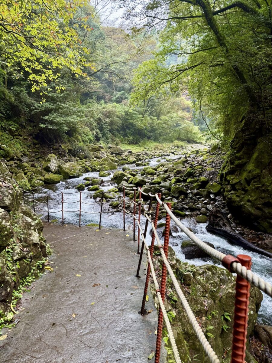 A paved path with a red railing runs alongside a rocky, tree-lined river in a lush, green forest.
